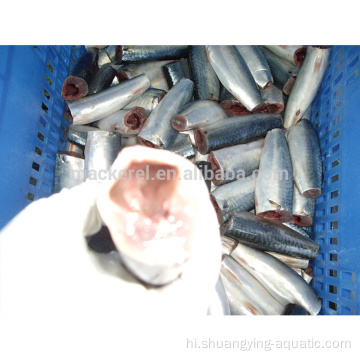 उच्च गुणवत्ता समुद्री भोजन जमे हुए मैकेरल मछली एचजीटी